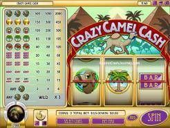 Crazy Camel Cash
